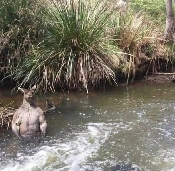 Picdump 993 - #7 