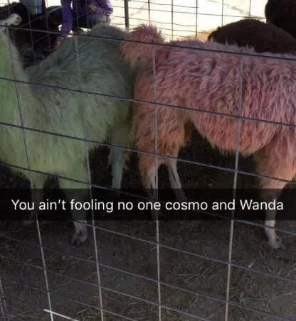 Hilarious photos that will have you laughing out loud - #2 