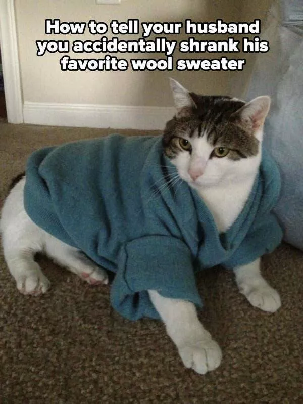 Hilarious photos that will have you laughing out loud - #26 
