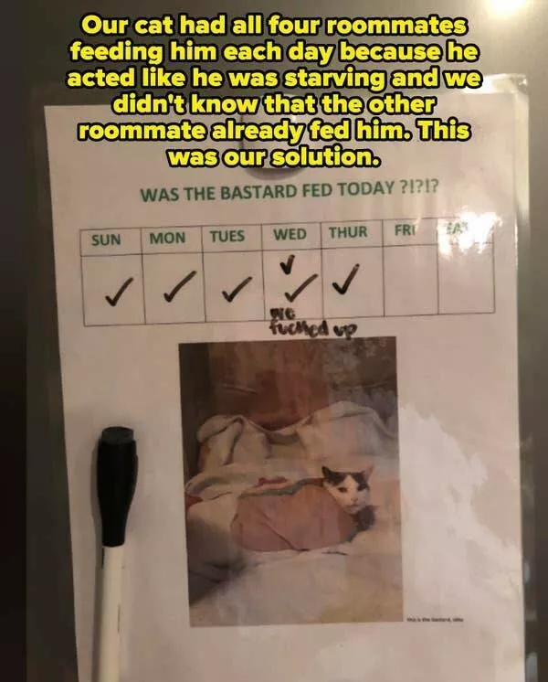 Hilarious photos that will have you laughing out loud - #34 