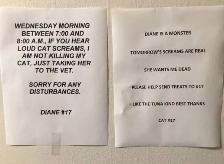 Hilarious photos that will have you laughing out loud - #46 