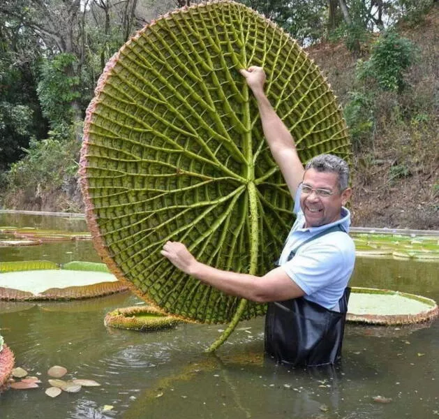 Picdump 994 - #27 
