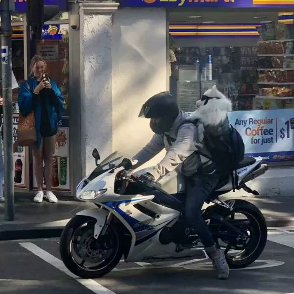 Picdump 994 - #36 