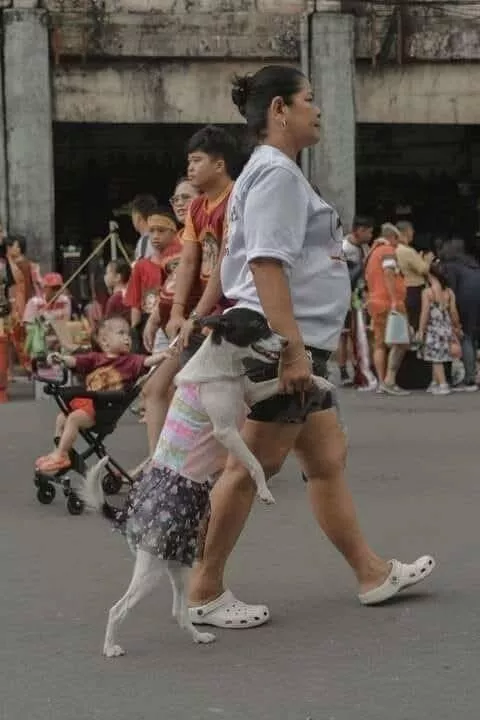 Picdump 994 - #43 