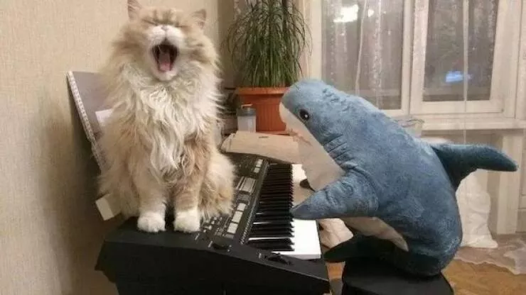 Picdump 995 - #4 