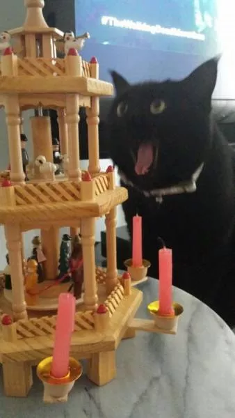 Picdump 122 - #18 