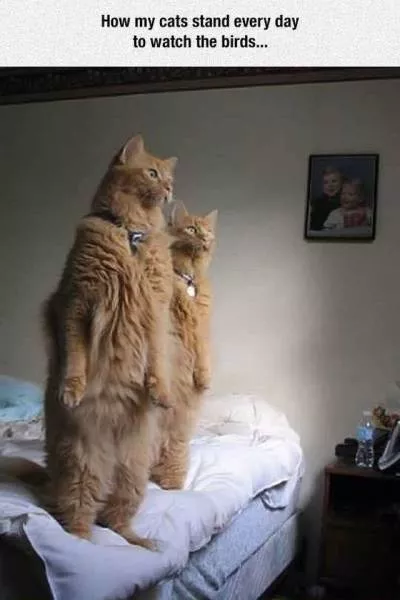 Picdump 122 - #52 
