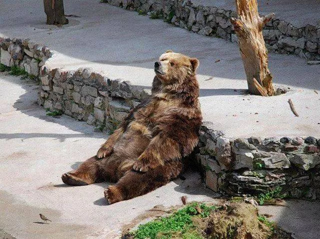 Picdump 122 - #57 