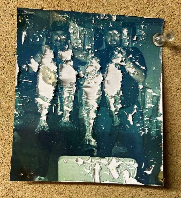 Time leaves its mark on everything - #26 This Old Photo Has Faded Perfectly Around the Fish