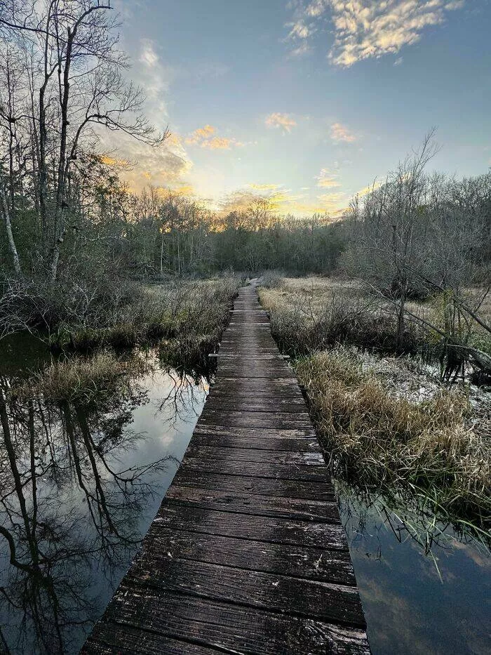 Le temps laisse son empreinte partout - #5 Le Chemin du Milieu de Cette Passerelle en Bois Est Complètement Érodé