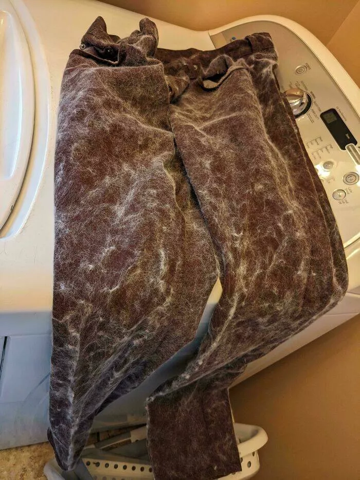 Echecs epiques qui sont juste trop droles a gerer - #23 Ma Femme a Lavé Mes Nouveaux Jeans Pour Que Je Puisses Les Porter Aujourd’hui, Et a Aussi Ajouté Sa Grosse Couverture Douillette