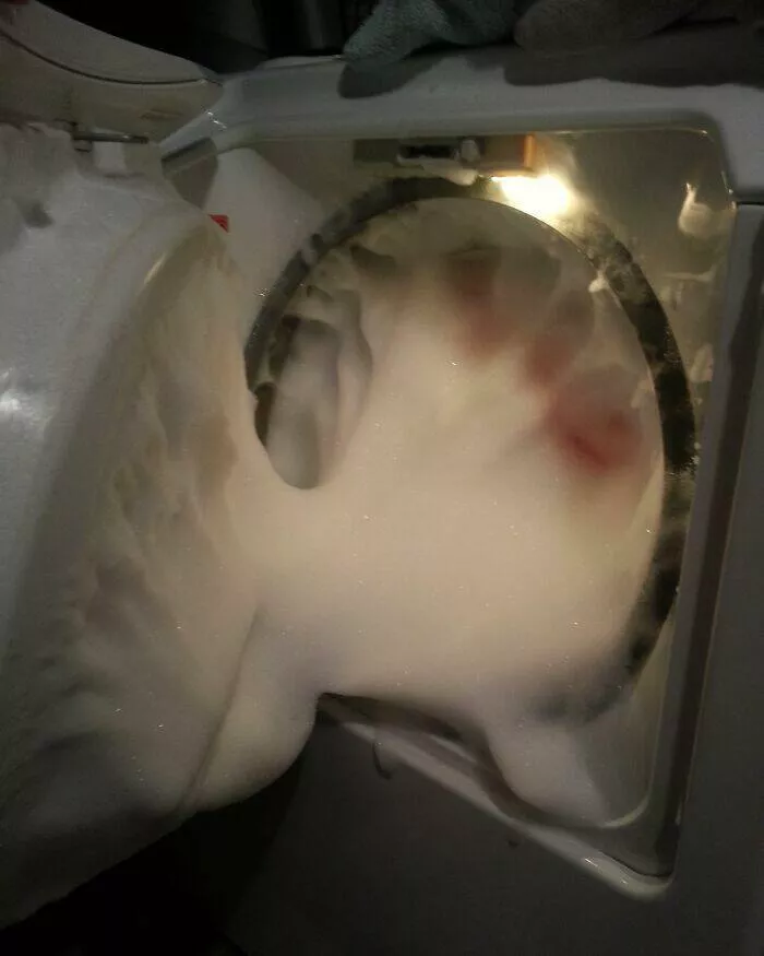 Hilarious blunders that are simply too much - #26 My Wife Accidentally Used the Wrong Soap in the Washer Hilarious blunders that are simply too much - #26 My Wife Accidentally Used the Wrong Soap in the Washer