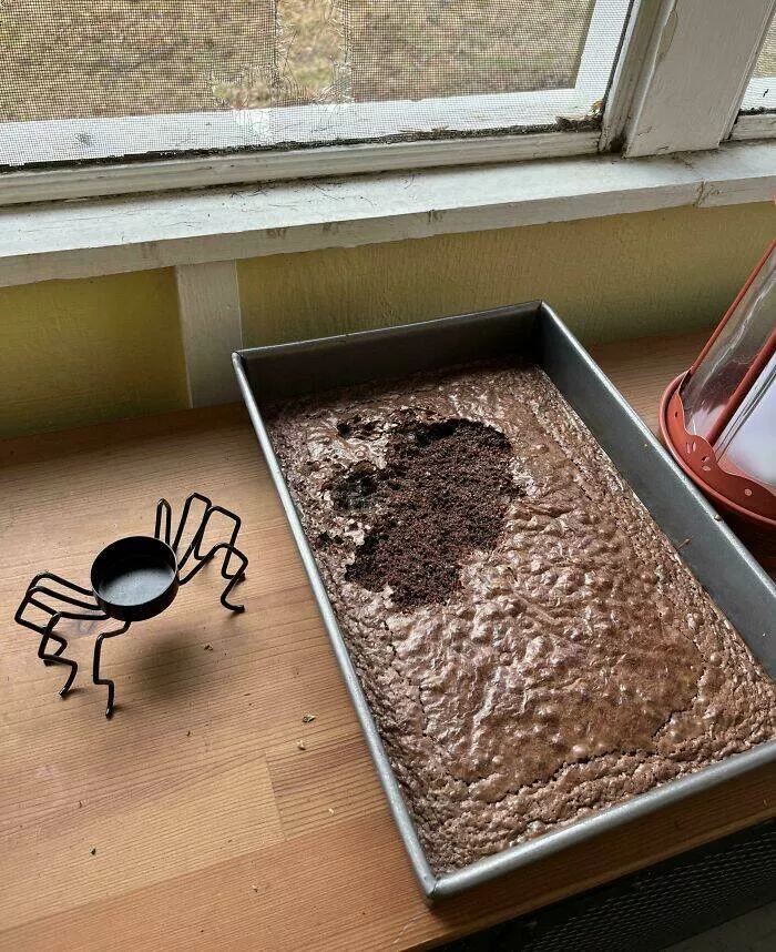 Echecs epiques qui sont juste trop droles a gerer - #27 J’ai Mis Ces Brownies Sur le Porche Pour Qu’ils Refroidissent, Et Un Écureuil Est Passé Par L’Écran Pour Les Manger. Je Suis Tellement Triste