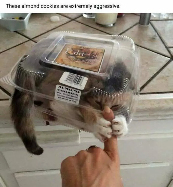 Gaffes culinaires qui vont vous faire mourir de rire