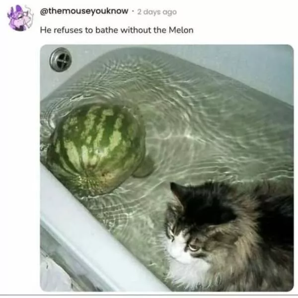 Kitchen disasters thatll leave you in stitches - #15 