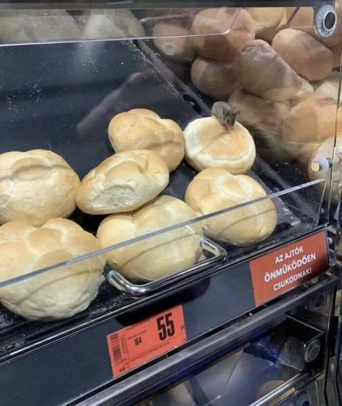 Kitchen disasters thatll leave you in stitches - #39 