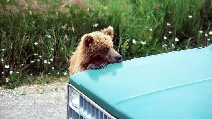 Picdump 998 - #10 