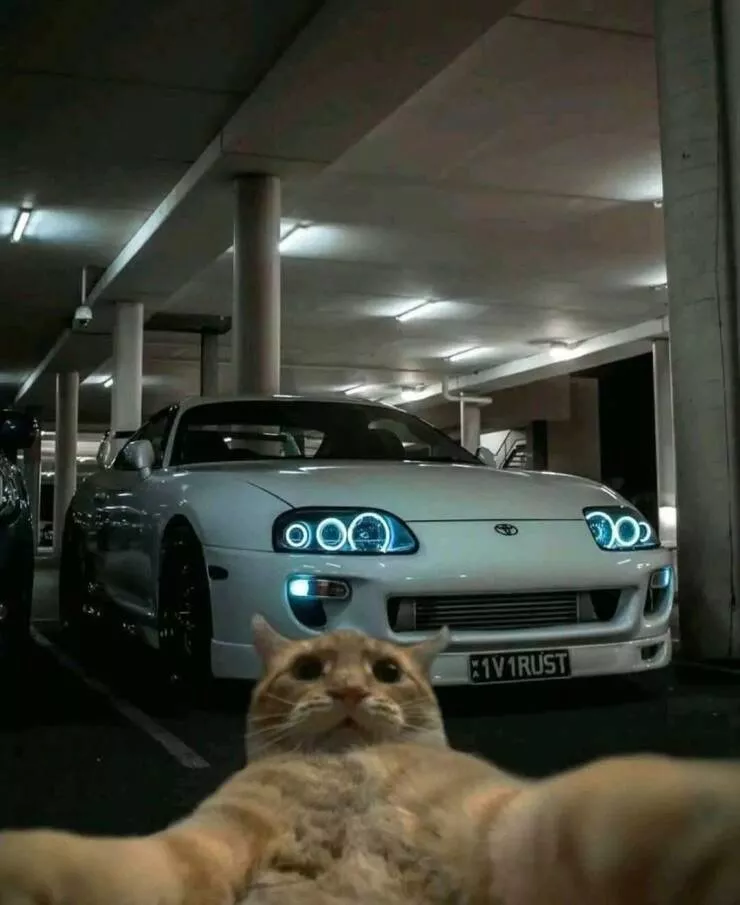 Picdump 998 - #41 