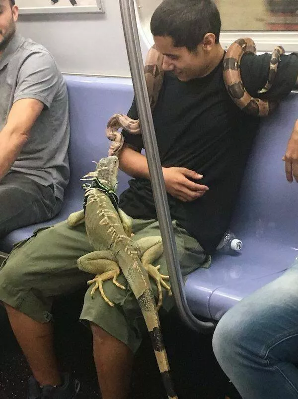 Lunivers fou et insolite du metro - #12 