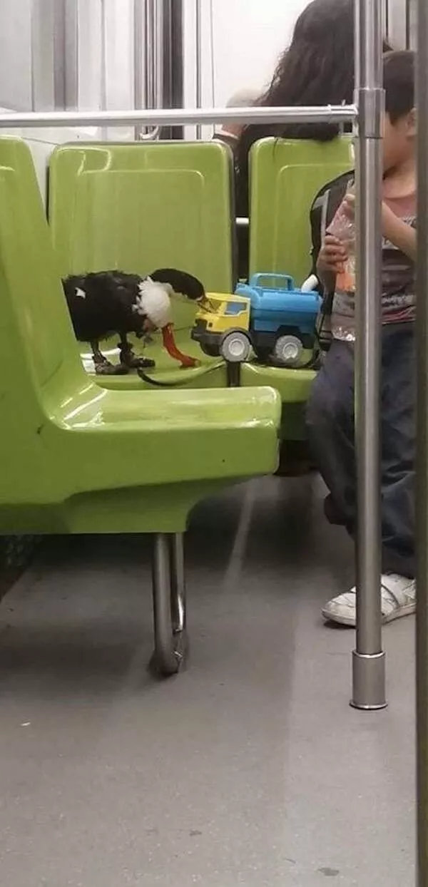 Lunivers fou et insolite du metro - #13 