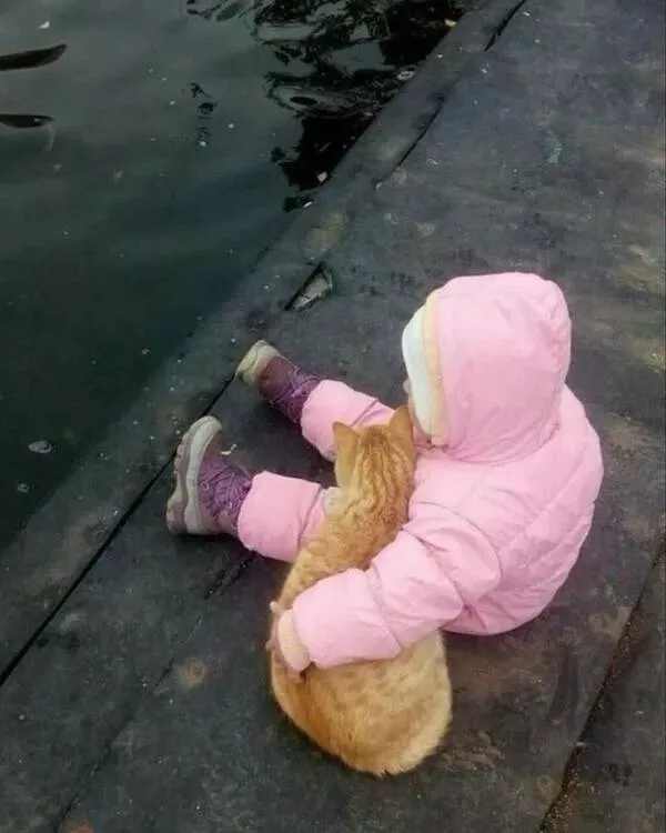 Heartwarming moments full of positive vibes - #1 