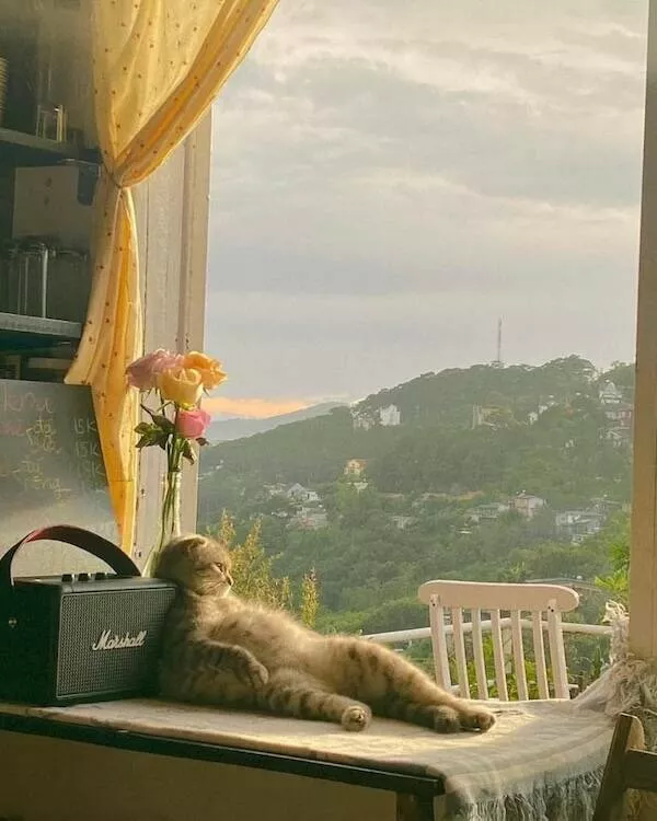 Heartwarming moments full of positive vibes