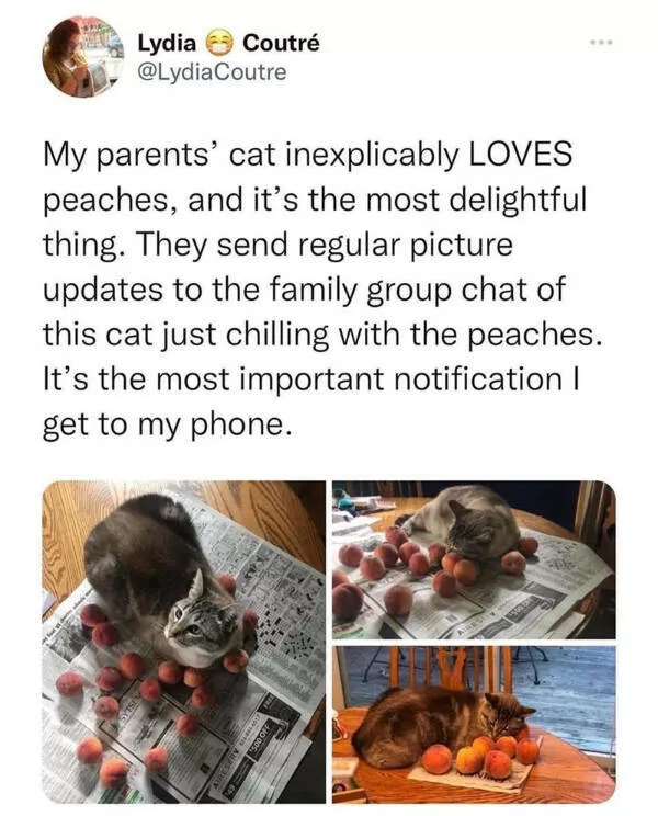 Heartwarming moments full of positive vibes - #30 