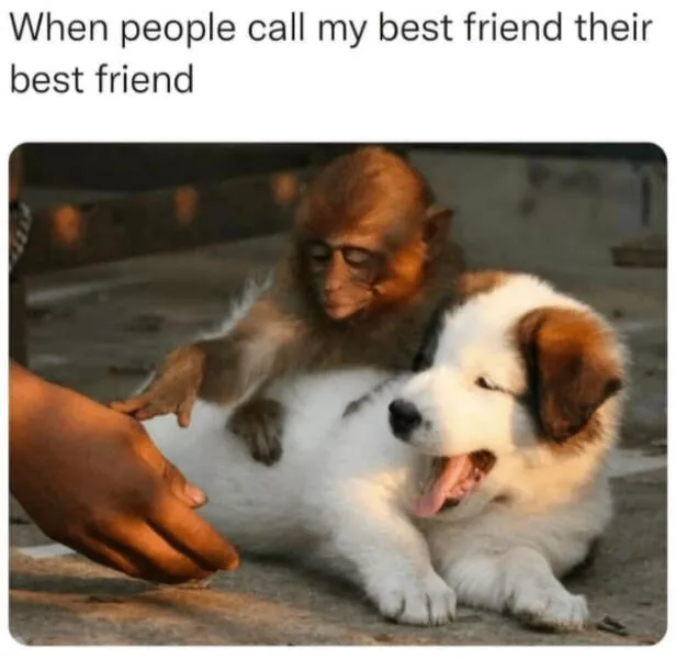 Heartwarming moments full of positive vibes - #34 