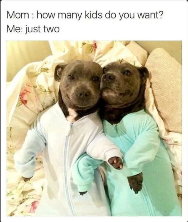Heartwarming moments full of positive vibes - #37 