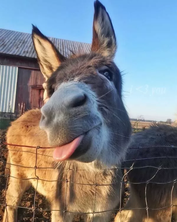 Heartwarming moments full of positive vibes - #4 