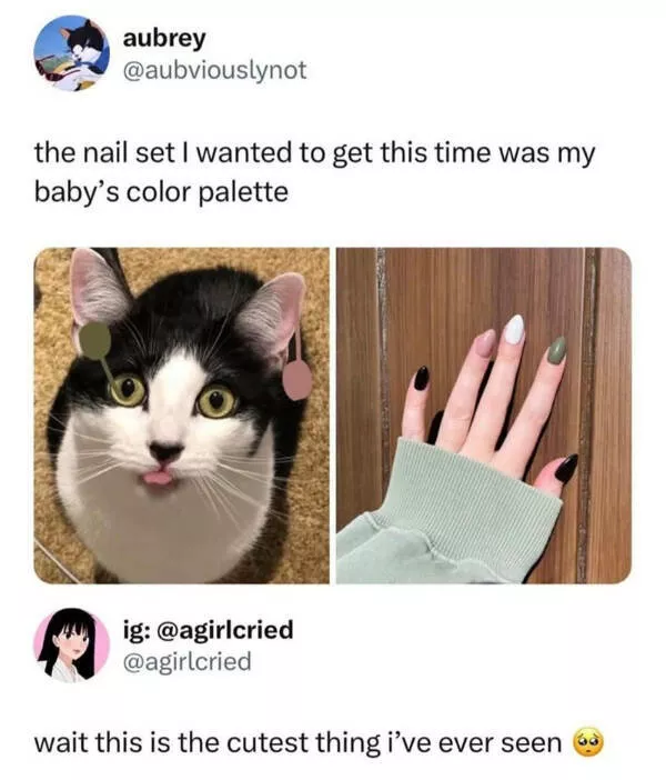 Heartwarming moments full of positive vibes - #42 