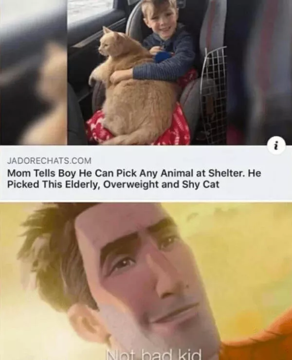 Heartwarming moments full of positive vibes - #45 