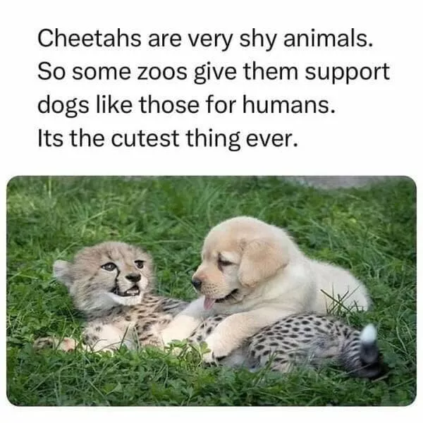 Heartwarming moments full of positive vibes - #49 