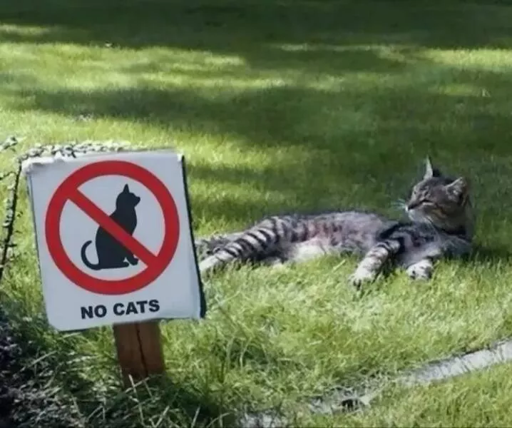 Picdump 999 - #21 