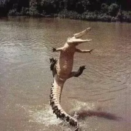 Picdump 999 - #23 