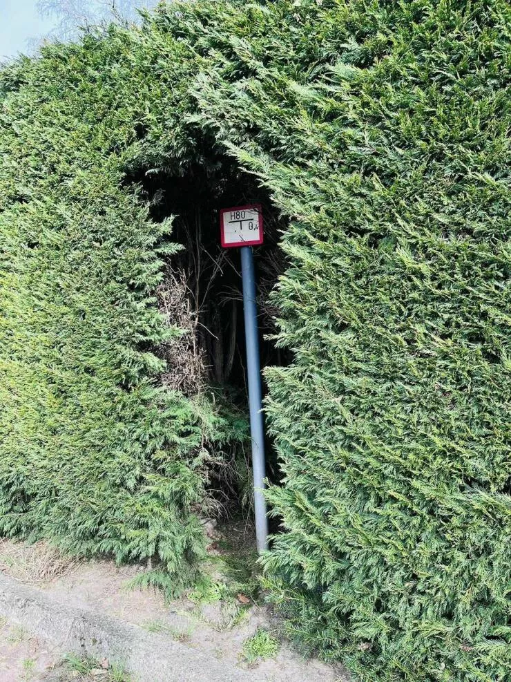 Picdump 999 - #3 