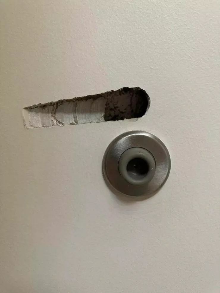 Picdump 999 - #31 