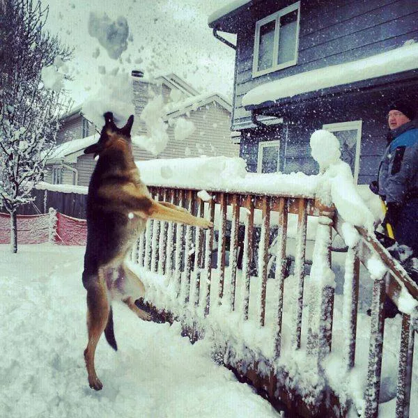 Picdump 999 - #45 
