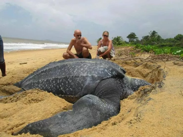 Picdump 999 - #51 