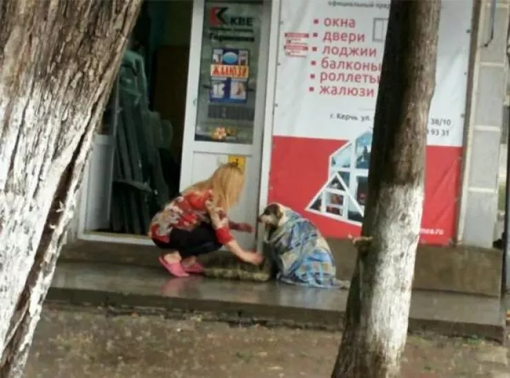 Memes et photos qui rechauffent le coeur - #14 