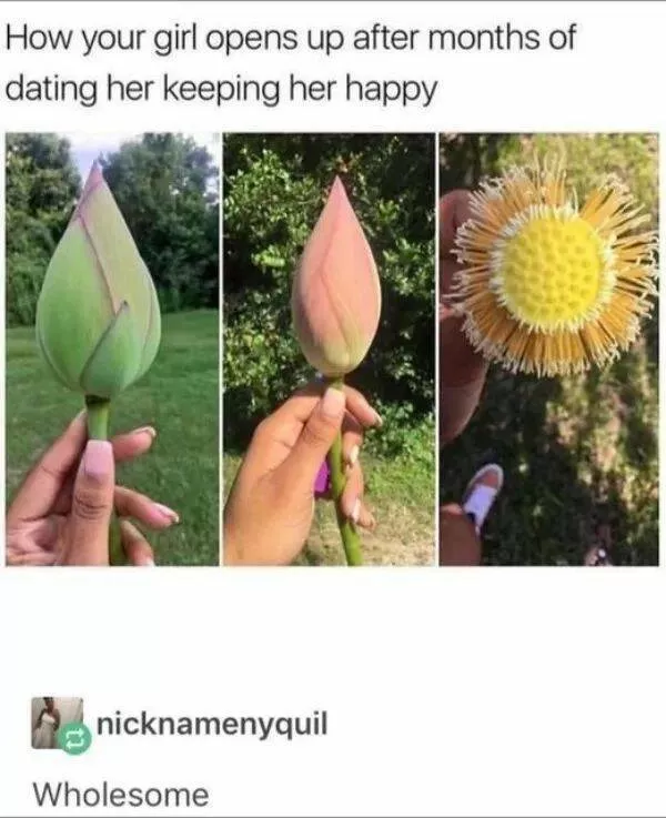 Memes et photos qui rechauffent le coeur - #16 