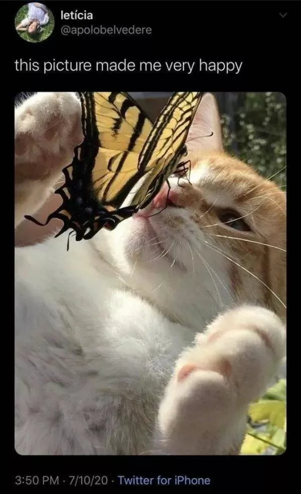 Memes et photos qui rechauffent le coeur - #27 