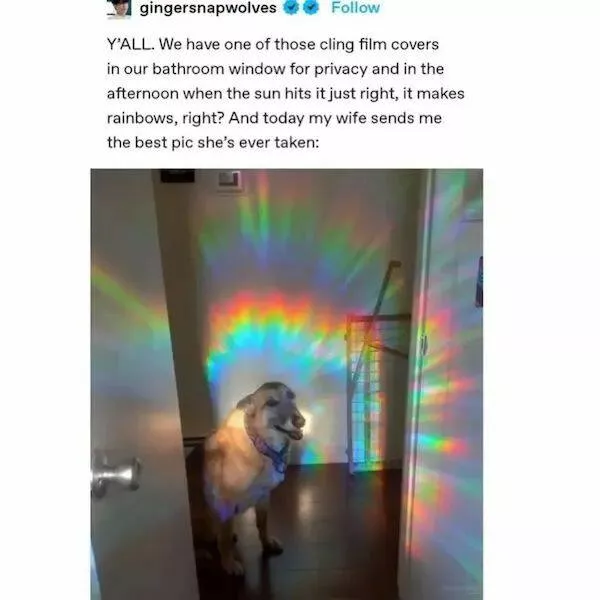 Memes et photos qui rechauffent le coeur - #4 