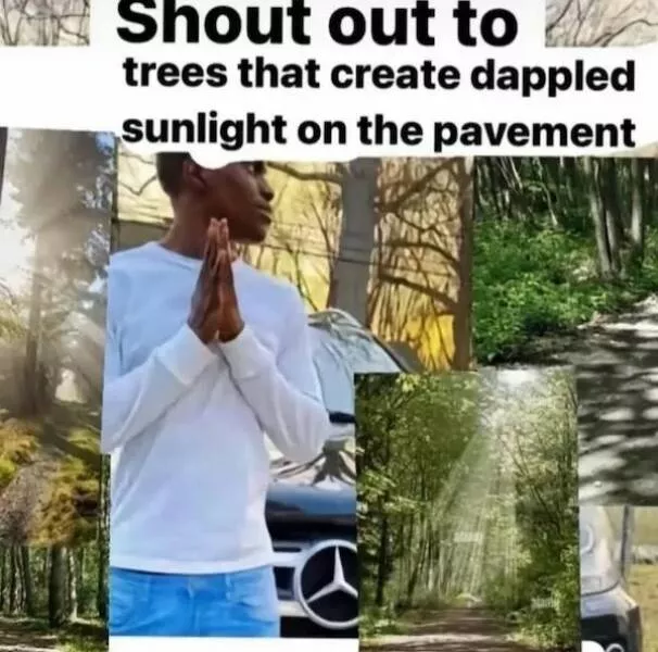 Memes et photos qui rechauffent le coeur - #9 