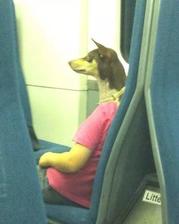 Picdump 1000 - #3 