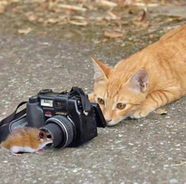 Picdump 1000 - #33 Picdump 1000 - #33