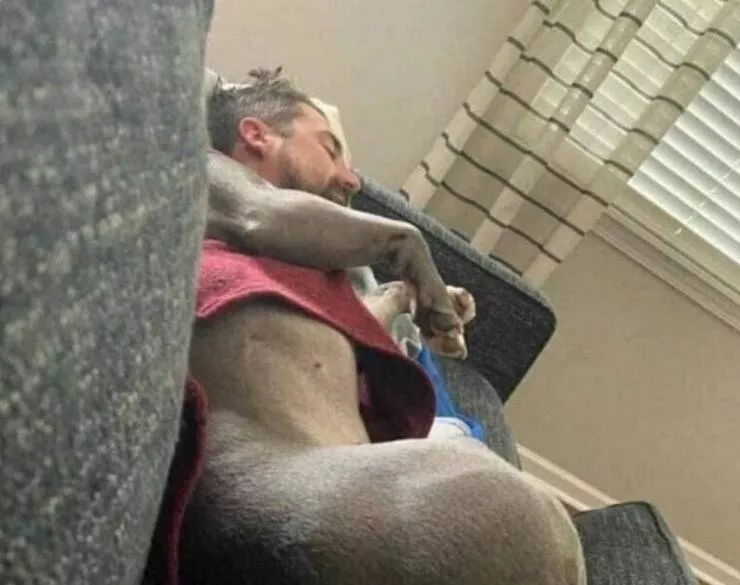 Picdump 1000 - #6 