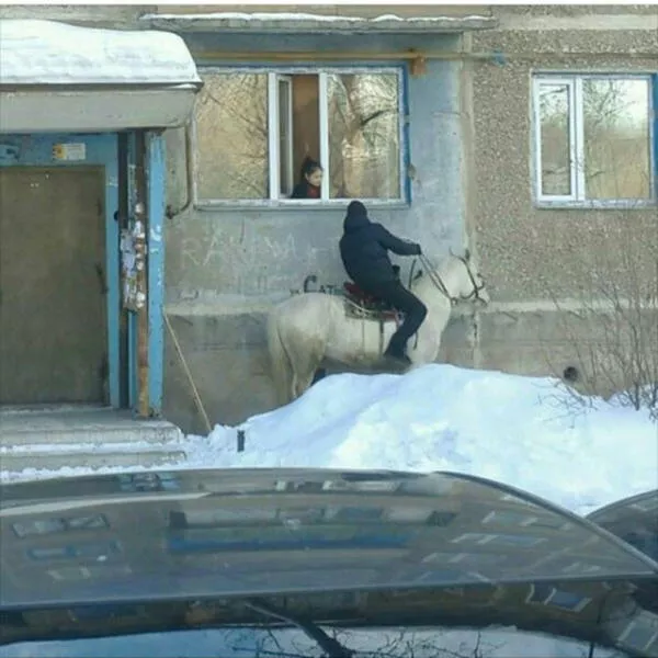 Picdump 16 - #4 