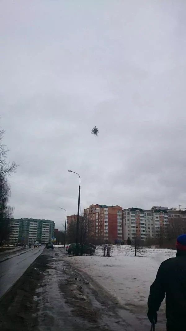 Picdump 16 - #5 