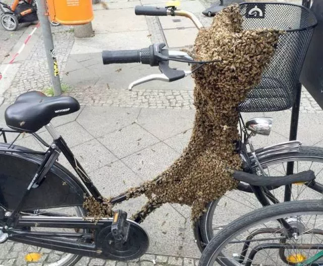 Picdump 123 - #11 